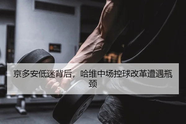 jing-duo-an-di-mi-bei-hou-ha-wei-zhong-chang-kong-qiu-gai-ge-zao-yu-ping-jing-2-296.jpg